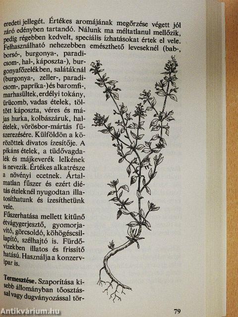 Fűszerek könyve