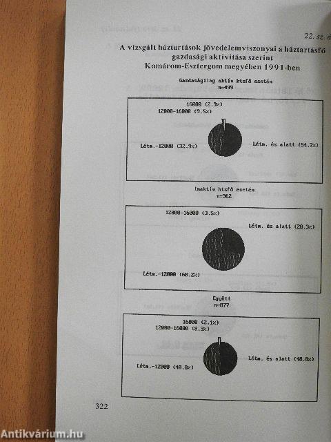 Életszínvonal - vállalkozási kedv 1991