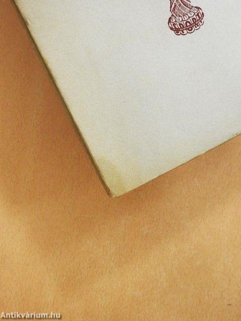 A megnyitások elmélete