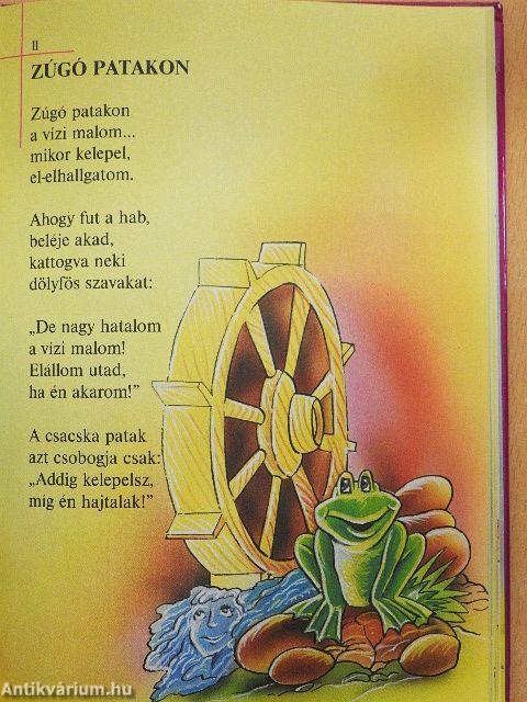 A cinege cipője