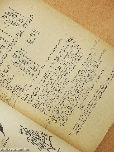 Esercitazioni di lingua italiana