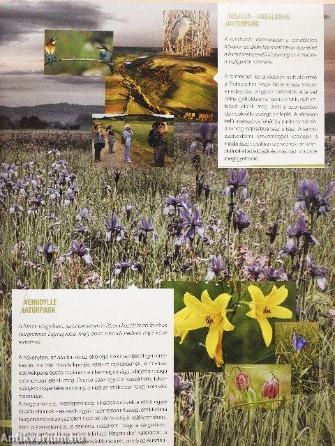 Pannonian Nature Network