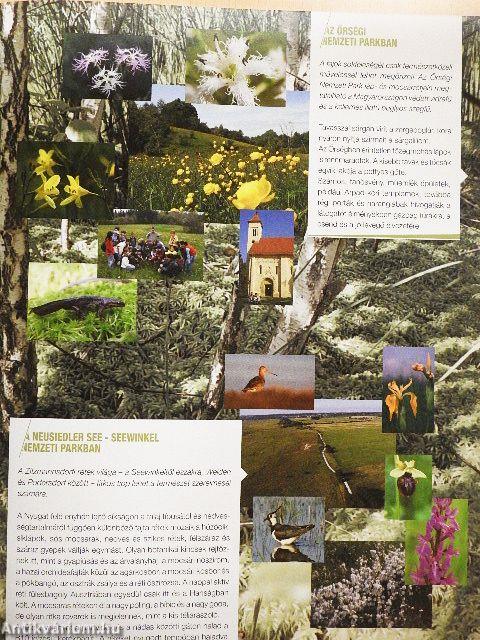 Pannonian Nature Network
