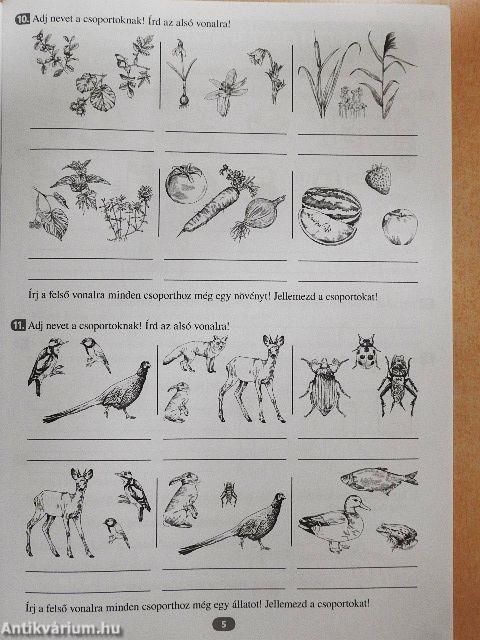 Környezetismeret 3. munkafüzet