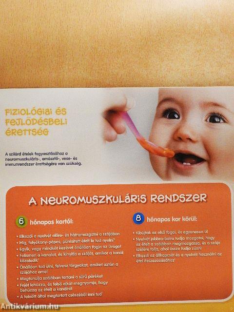 A hozzátáplálás szakmai támogatása
