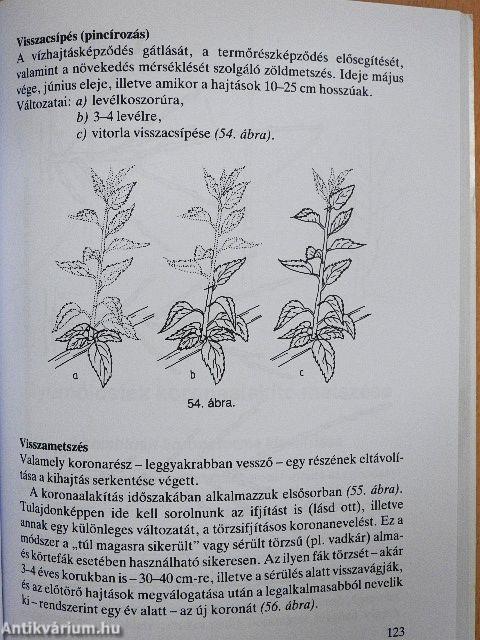 Gyümölcsösgazdák könyve