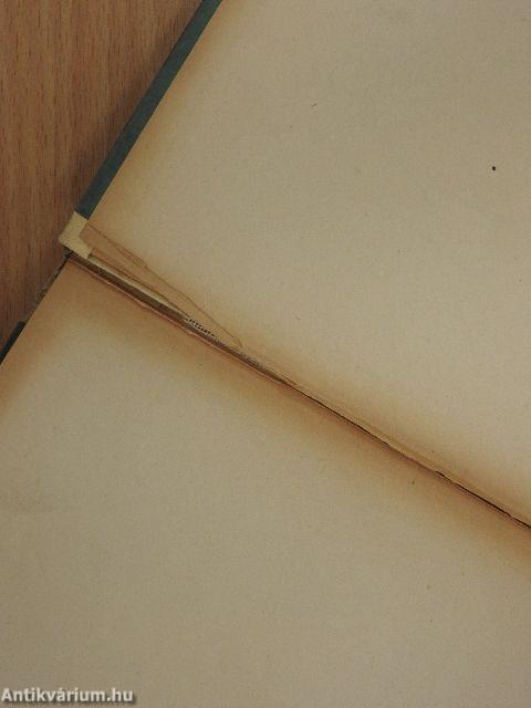 A kritikus mint művész