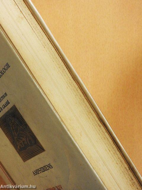 Traité de zoologie XIV.