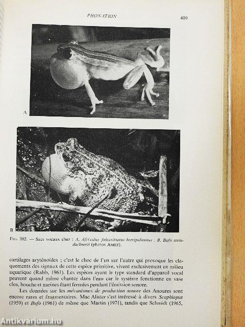 Traité de zoologie XIV.