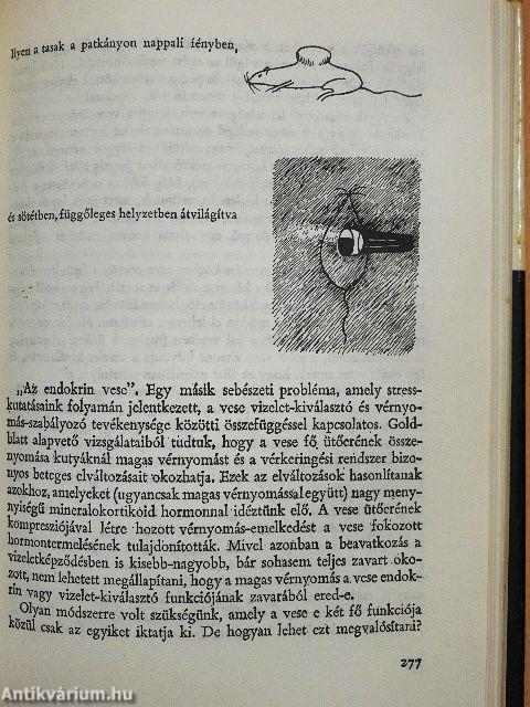 Álomtól a felfedezésig