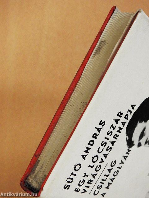 Egy lócsiszár virágvasárnapja/Csillag a máglyán