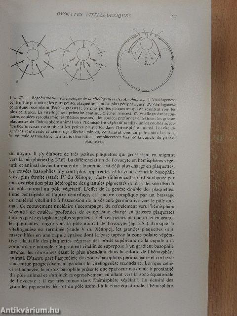 Traité de zoologie XIV.