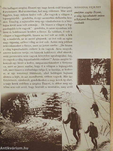 Szegény Dzsoni és Árnika