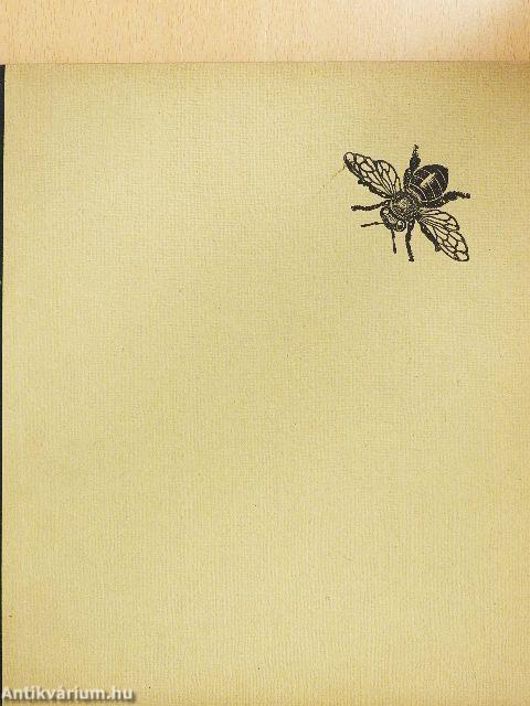 Rovarok közelről...