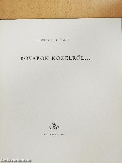 Rovarok közelről...