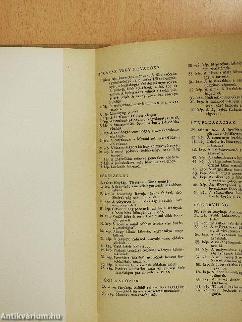 Rovarok közelről...