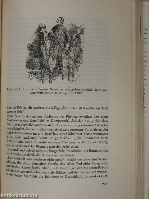 Glanz und elend eines Jahrtausends