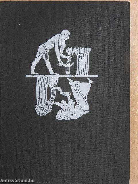 Népek, rasszok, kultúrák