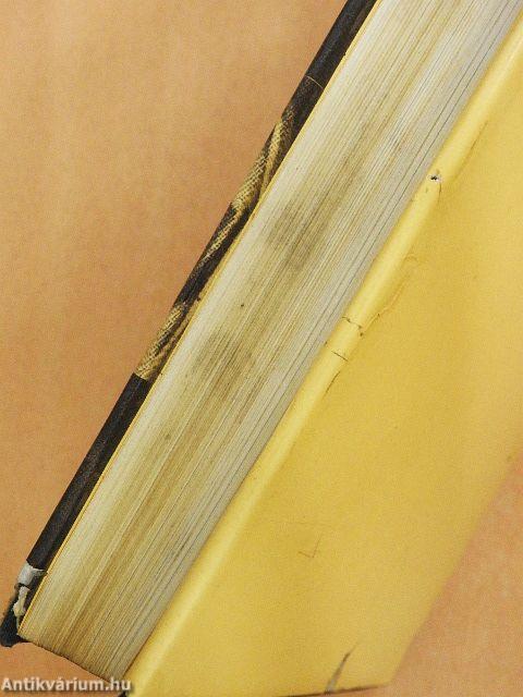 Akik hittek a szeretetben