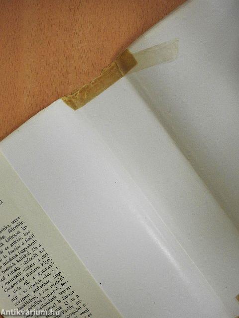 Puskin válogatott költői művei