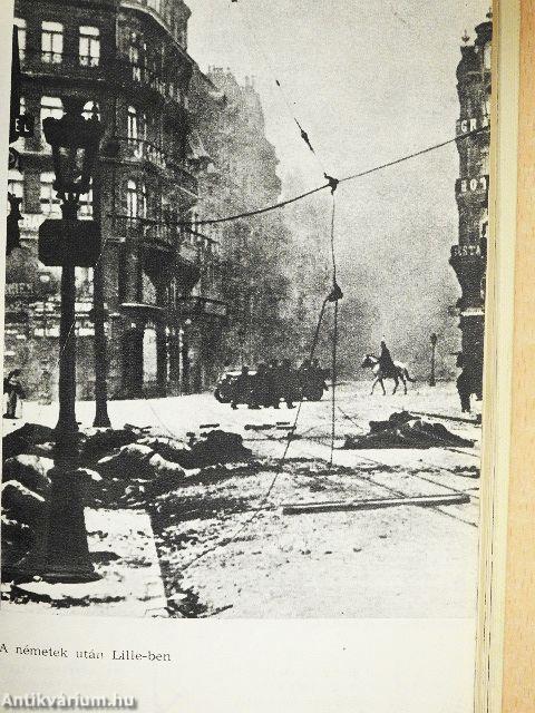 Négy év vasban és vérben (1914-1918)