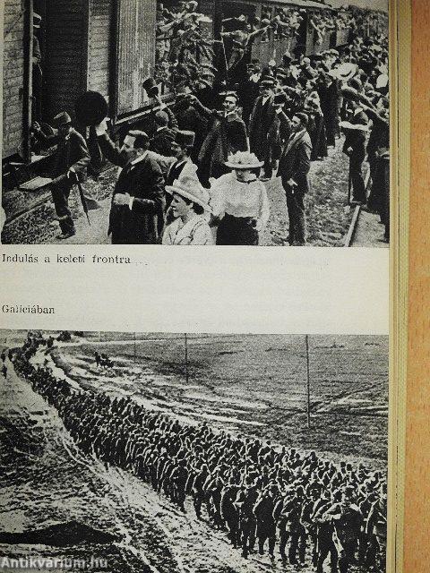 Négy év vasban és vérben (1914-1918)