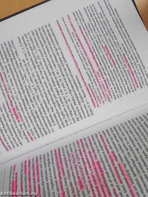 A magyar büntetés-végrehajtási jog