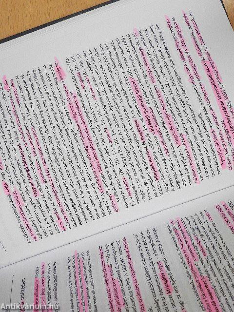 A magyar büntetés-végrehajtási jog