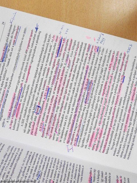 A magyar büntetés-végrehajtási jog