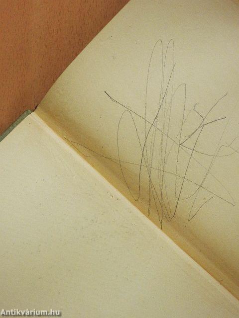 Komornyikné őnagysága 