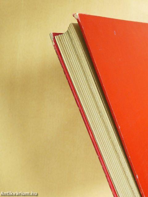 A huncut kölyök Pesten