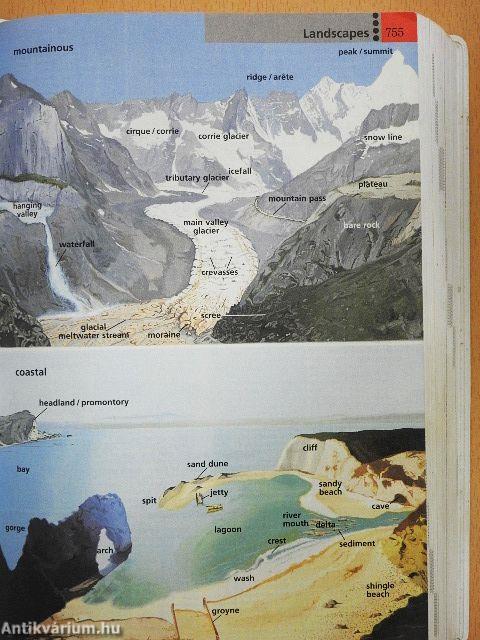 Longman Dictionary of Contemporary English