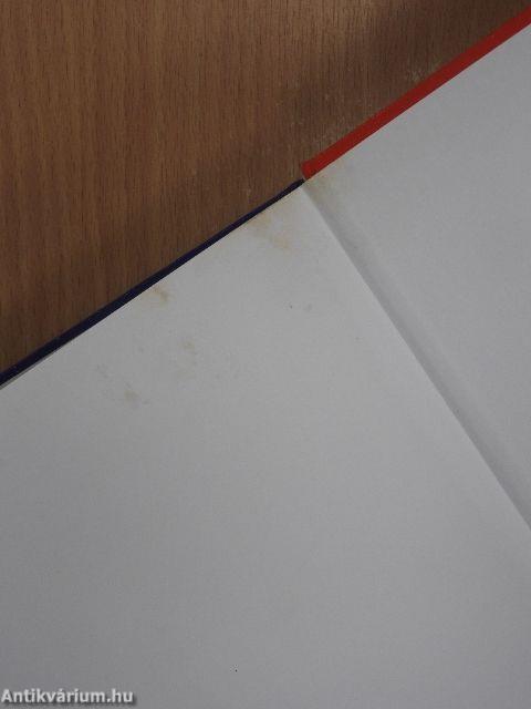 Új angol-magyar szótár