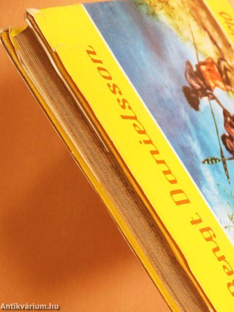 Bumeráng-expedíció