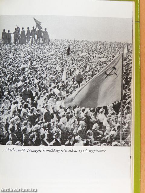 Akasztófa és amnesztia