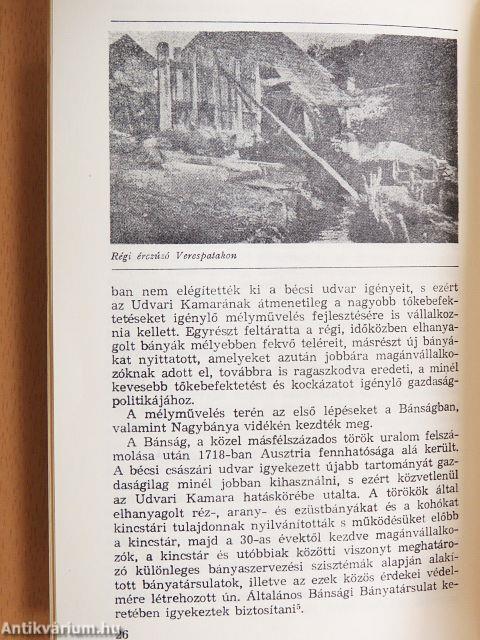 Erdélyi bányák, kohók, emberek, századok