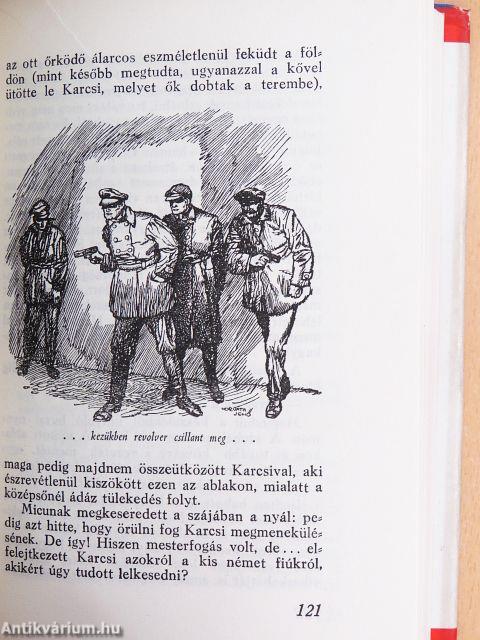Északi hűség