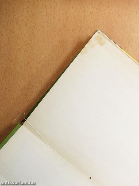 Káprázat és figyelem