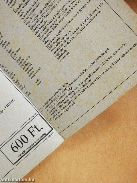 Képes brit és amerikai angol-magyar szótár