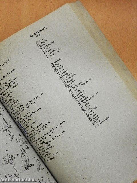 Képes brit és amerikai angol-magyar szótár