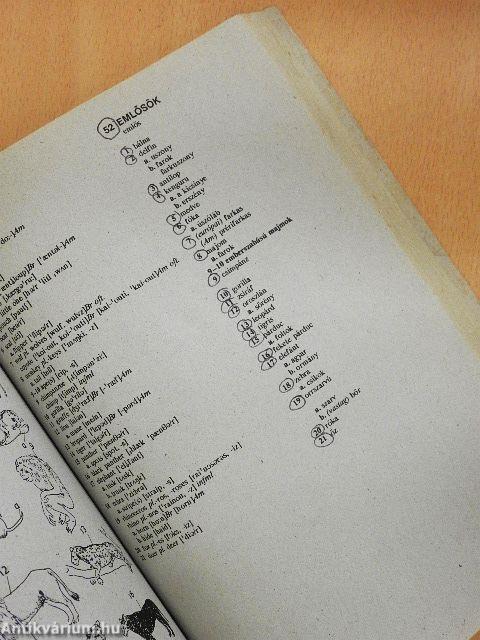 Képes brit és amerikai angol-magyar szótár