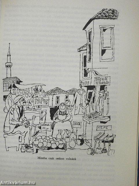 A magyar szókincs regénye