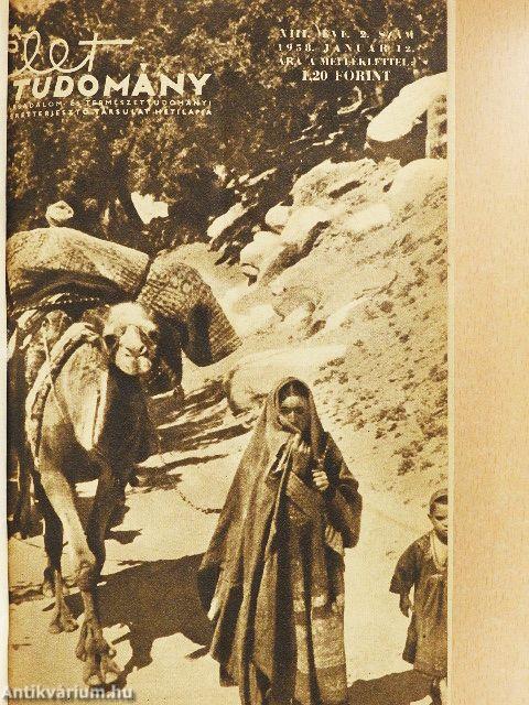 Élet és Tudomány 1958. (nem teljes évfolyam)