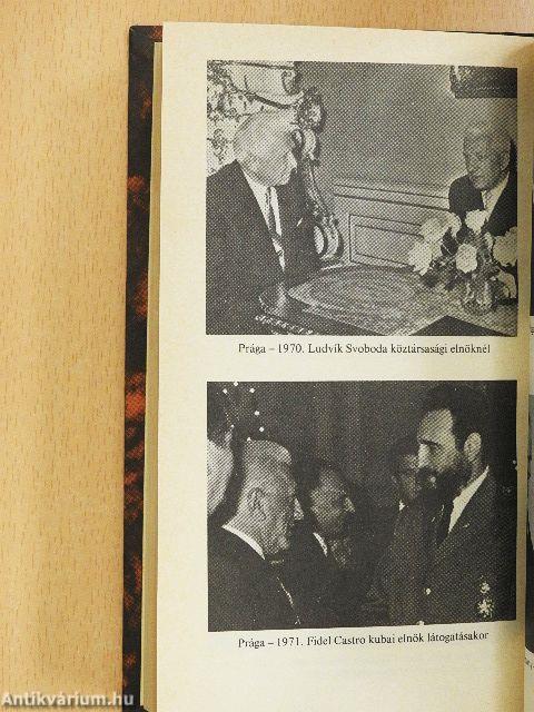 Évek és küzdelmek nyomában