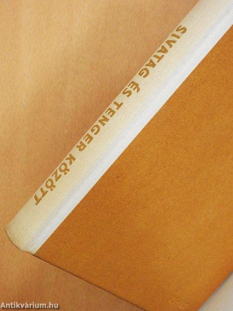 Sivatag és tenger között