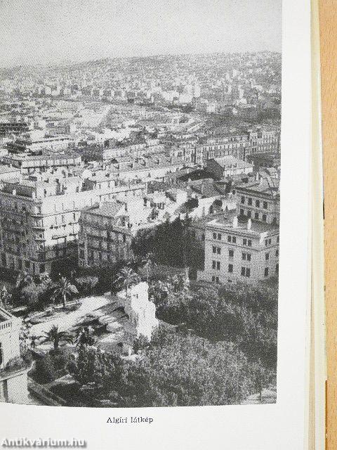 Sivatag és tenger között