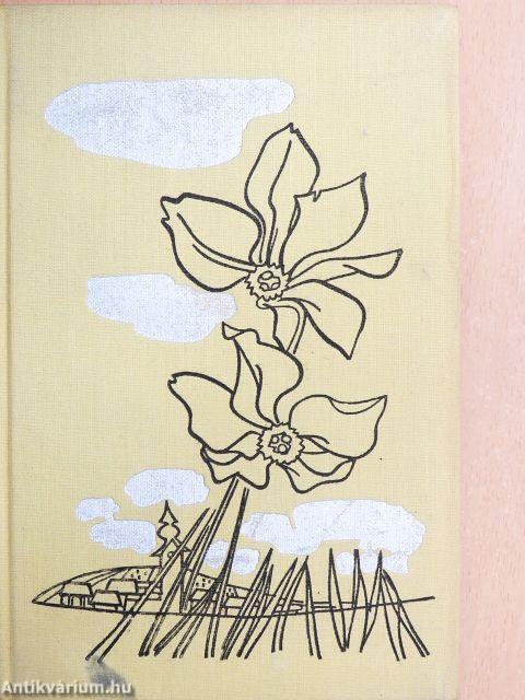 Tiszán innen, Dunán túl...