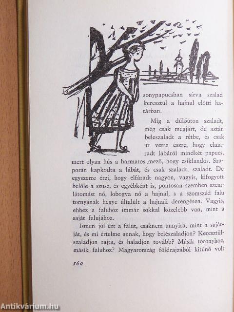 Tiszán innen, Dunán túl...