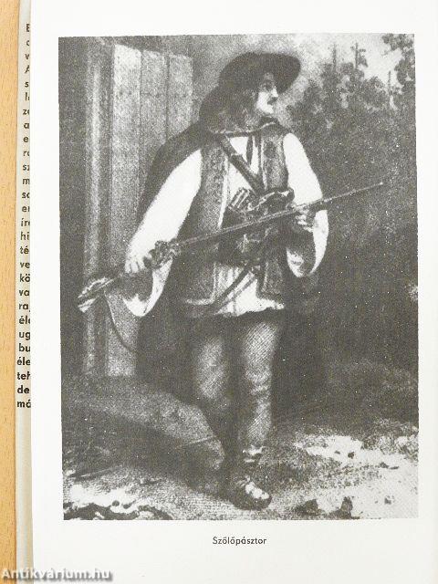 Barabás Miklós önéletrajza