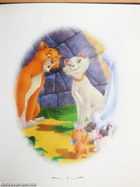 Engedd, hogy a szíved vezessen